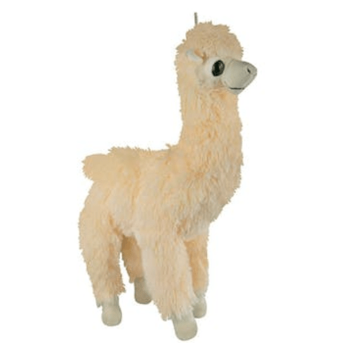 Alpaca